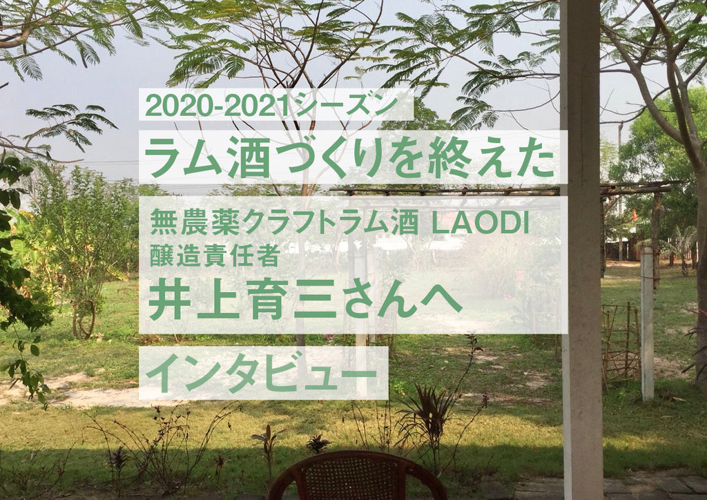 【コロナ禍でのラム酒づくり 】LAODI醸造責任者 井上氏インタビュー / 無農薬ラム酒 LAODI ラオディ 